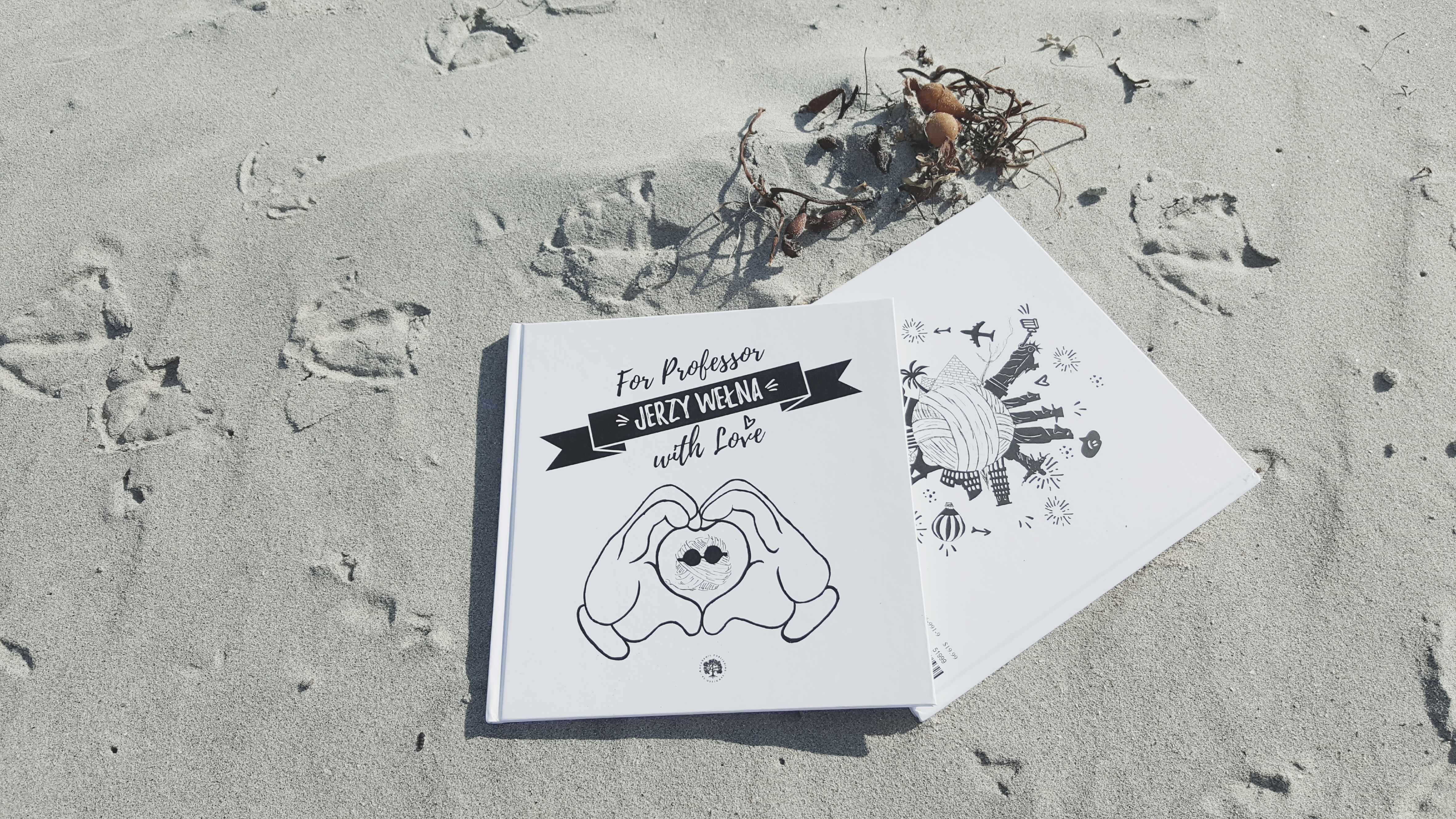 White square hardcover, with two comic-like gloved hands forming a heart shape and the title "For Professor Jerzy Wełna with Love", resting in the sand, with seagull footprints and seaweeds all around.