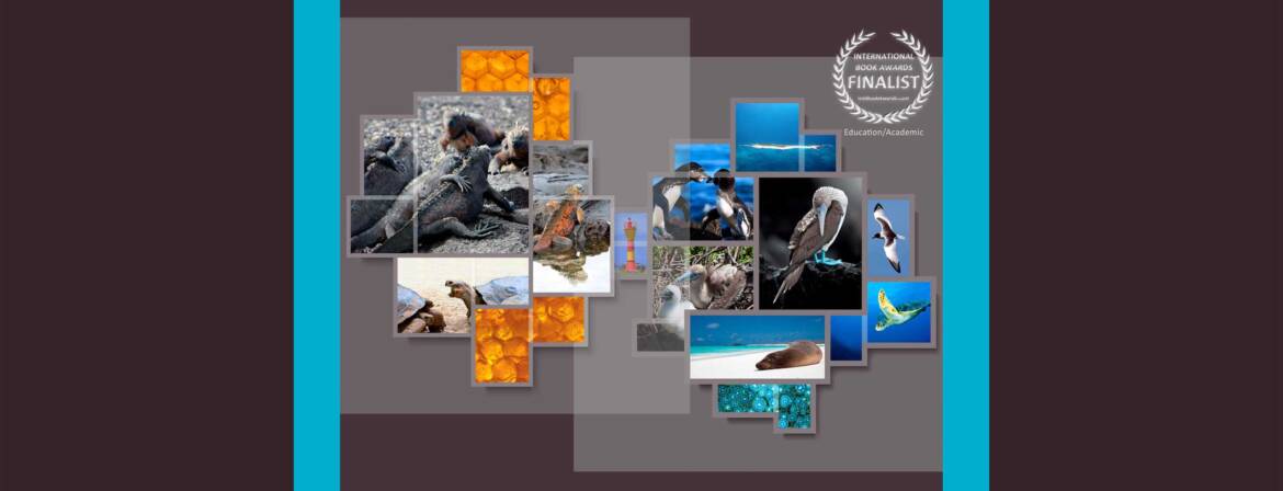 BL4-banner_w-finalist_bb.jpg